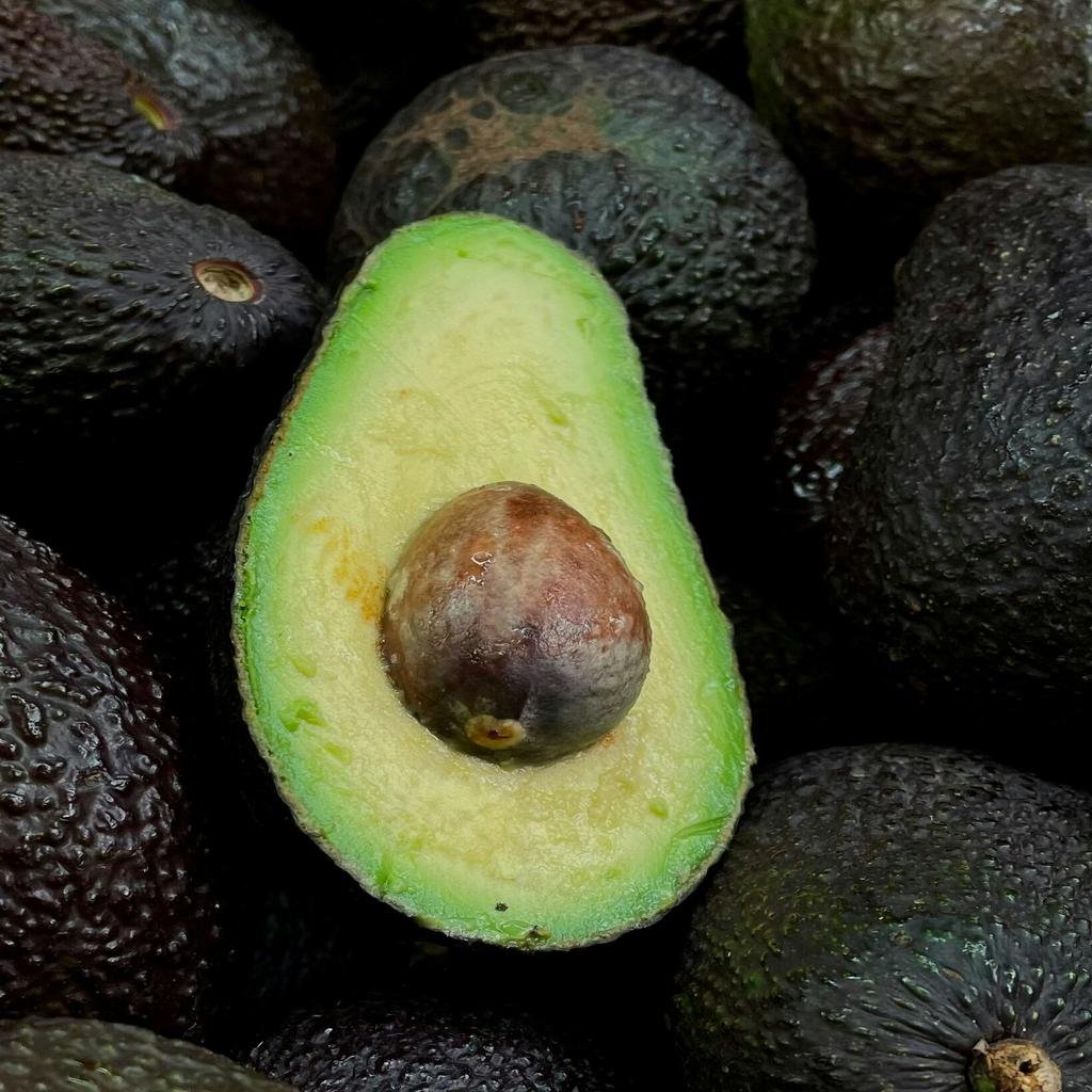 Avocado