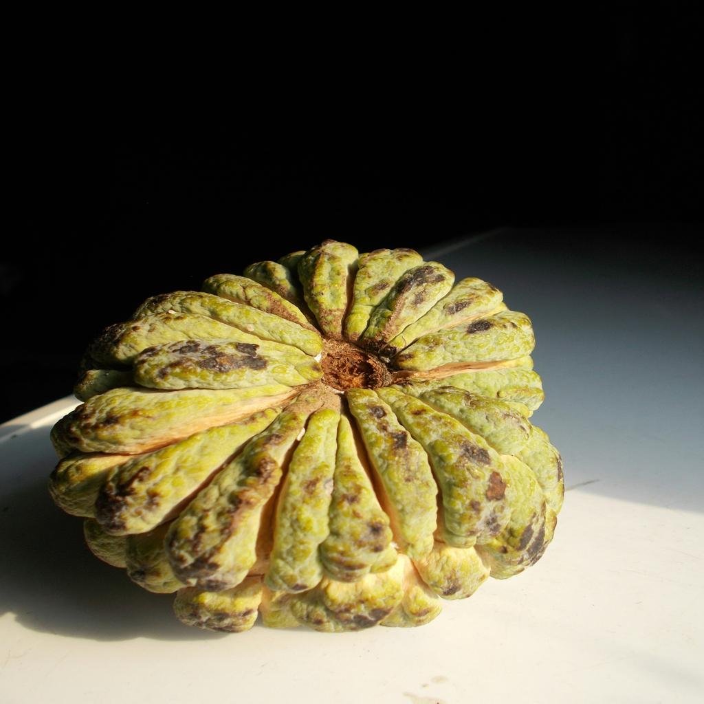 Custard Apple